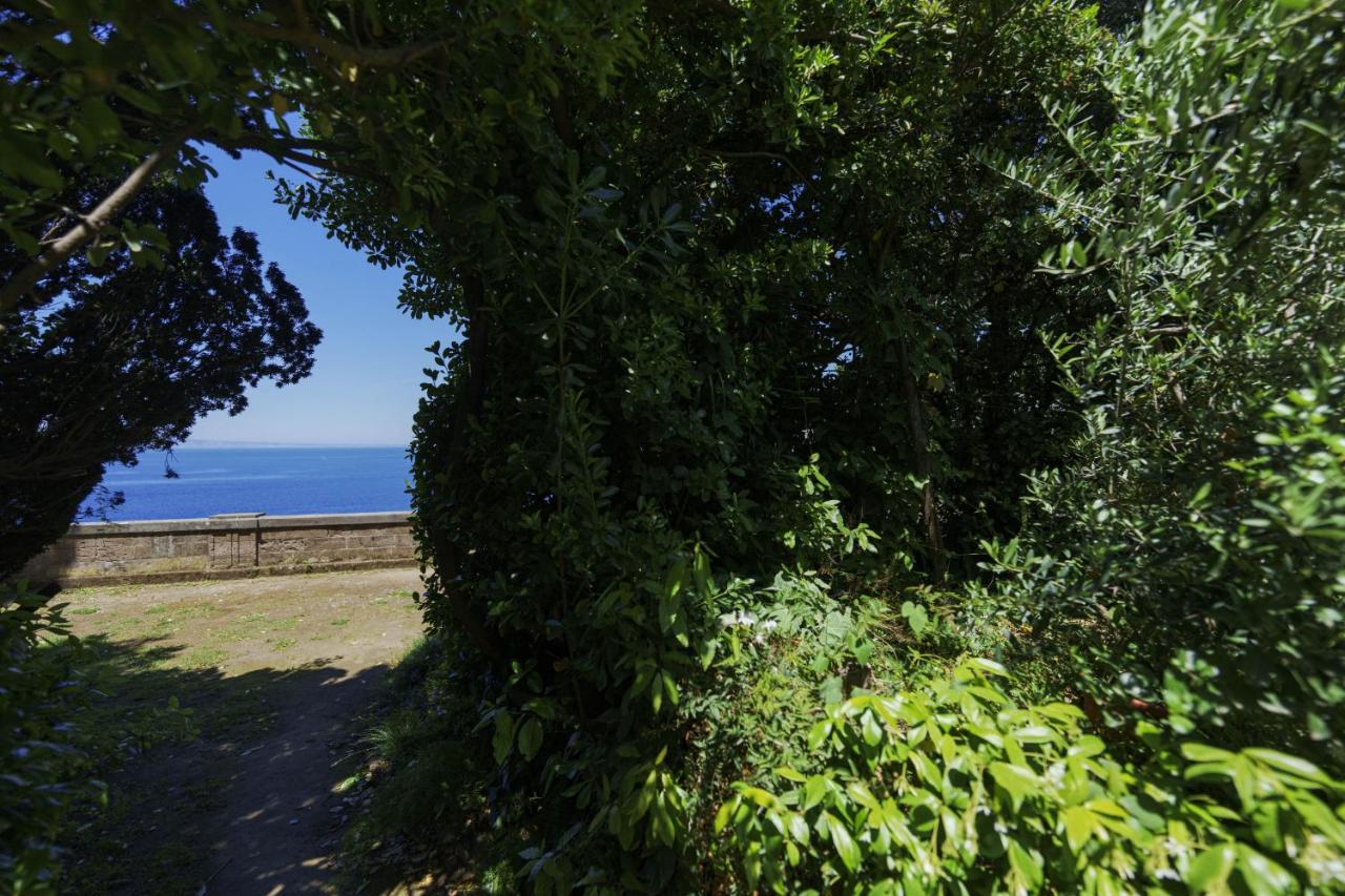 Villa Preziosa Al Pizzo 3 Km Da Sorrento Sant'Agnello Exterior photo