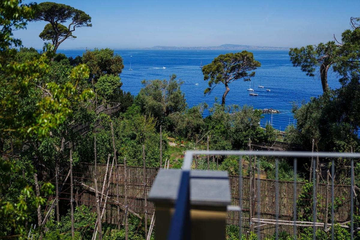 Villa Preziosa Al Pizzo 3 Km Da Sorrento Sant'Agnello Exterior photo